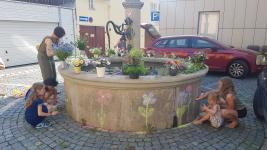 Brunnenfest2